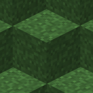 دانلود ریسورس پک کامل علفی شدن بلاک grass block ماینکرفت